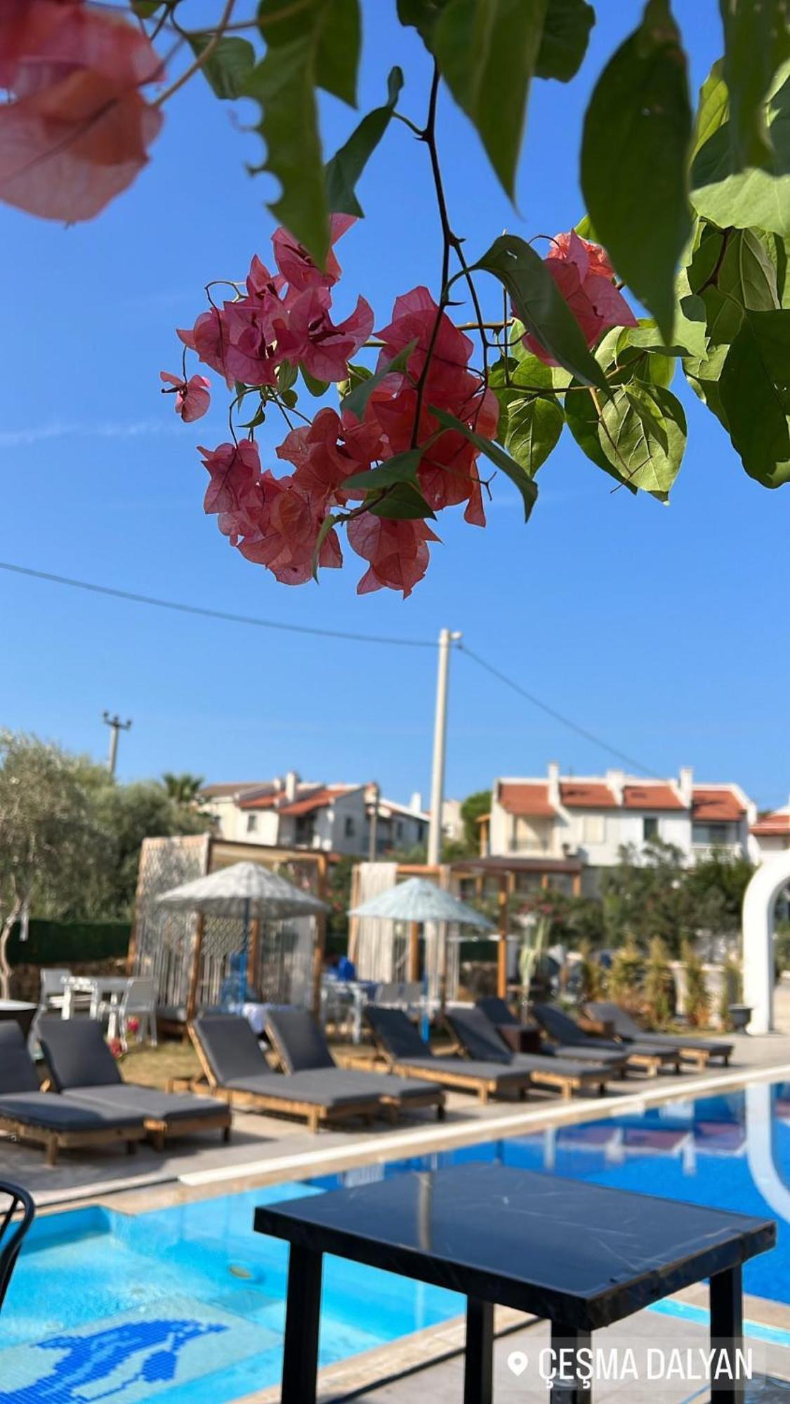 Belong Butik Otel Кешме Экстерьер фото