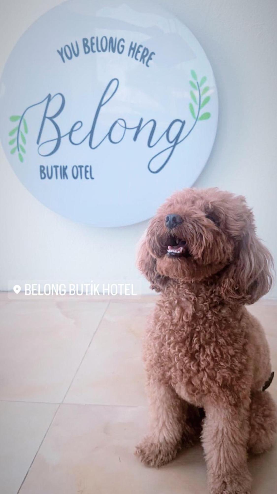Belong Butik Otel Кешме Экстерьер фото